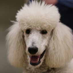 photograph by PeterW